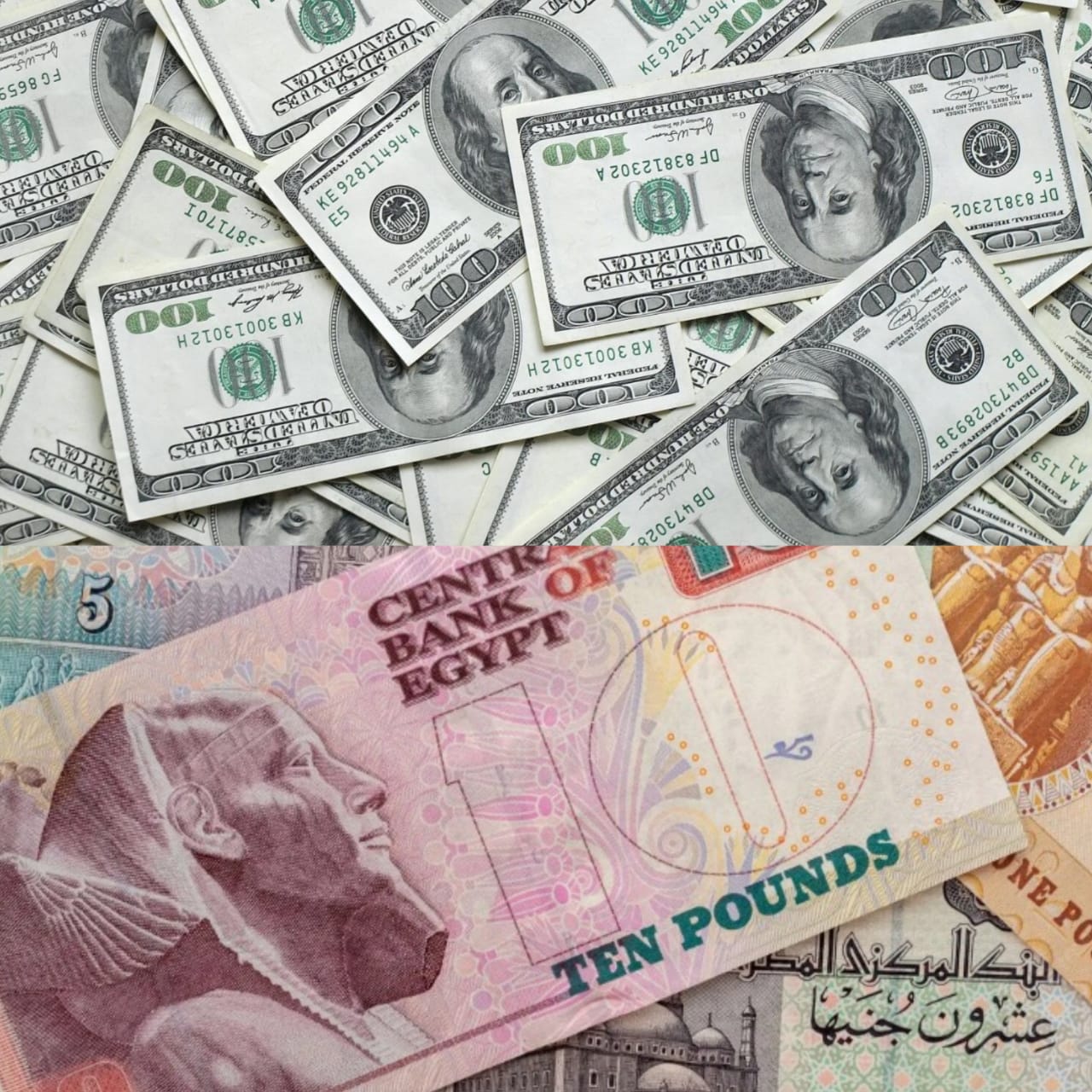 The Fall Of The Egyptian Pound Against The US Dollars Top50 Women the-fall-of-the-egyptian-pound-against-the-us-dollars-top50-women